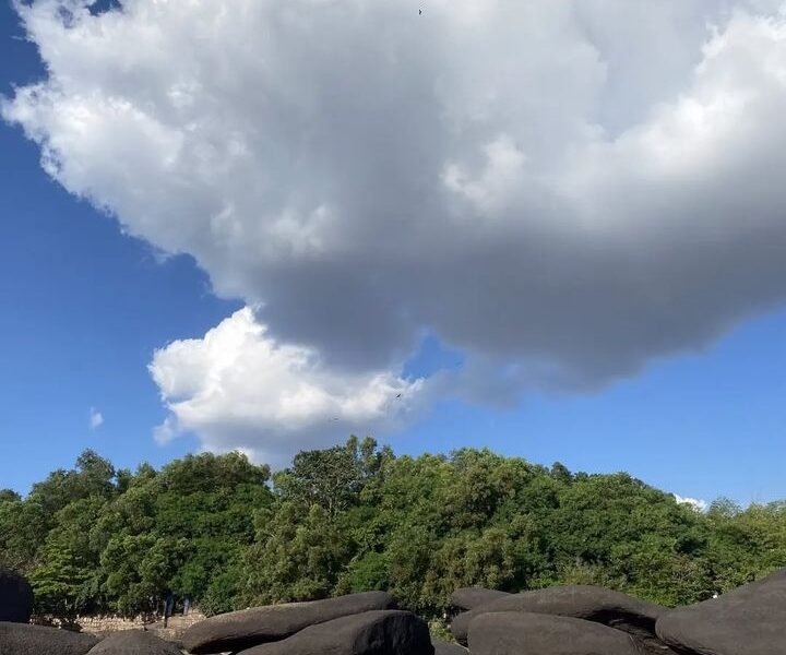 Mbudi nature