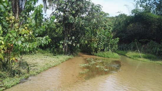 Le Pied dans l'eau